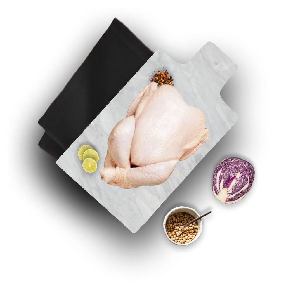 Productos